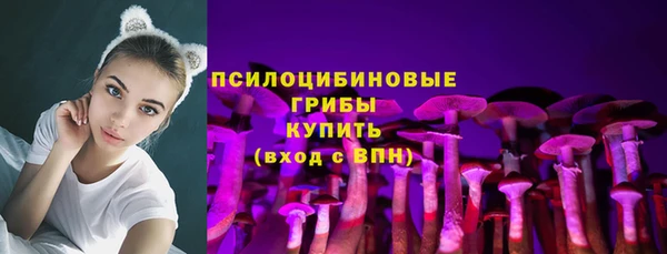 крисы Арсеньев