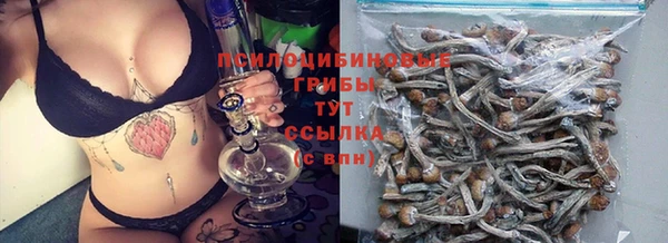 крисы Арсеньев