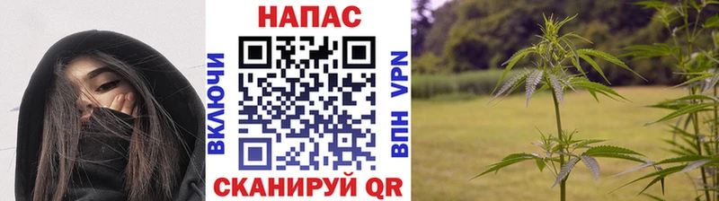 Бошки марихуана THC 21%  Нижний Ломов 